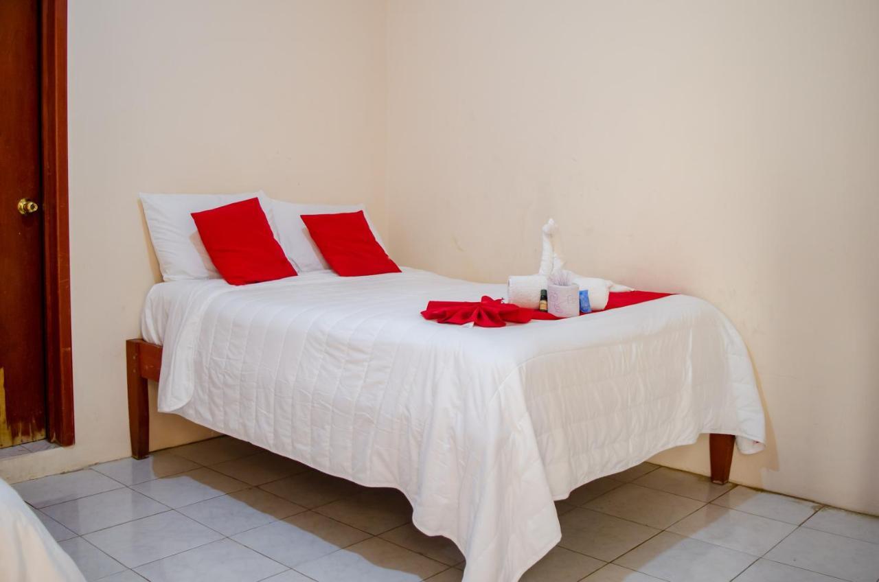 Hotel Rosa Del Alba 3*